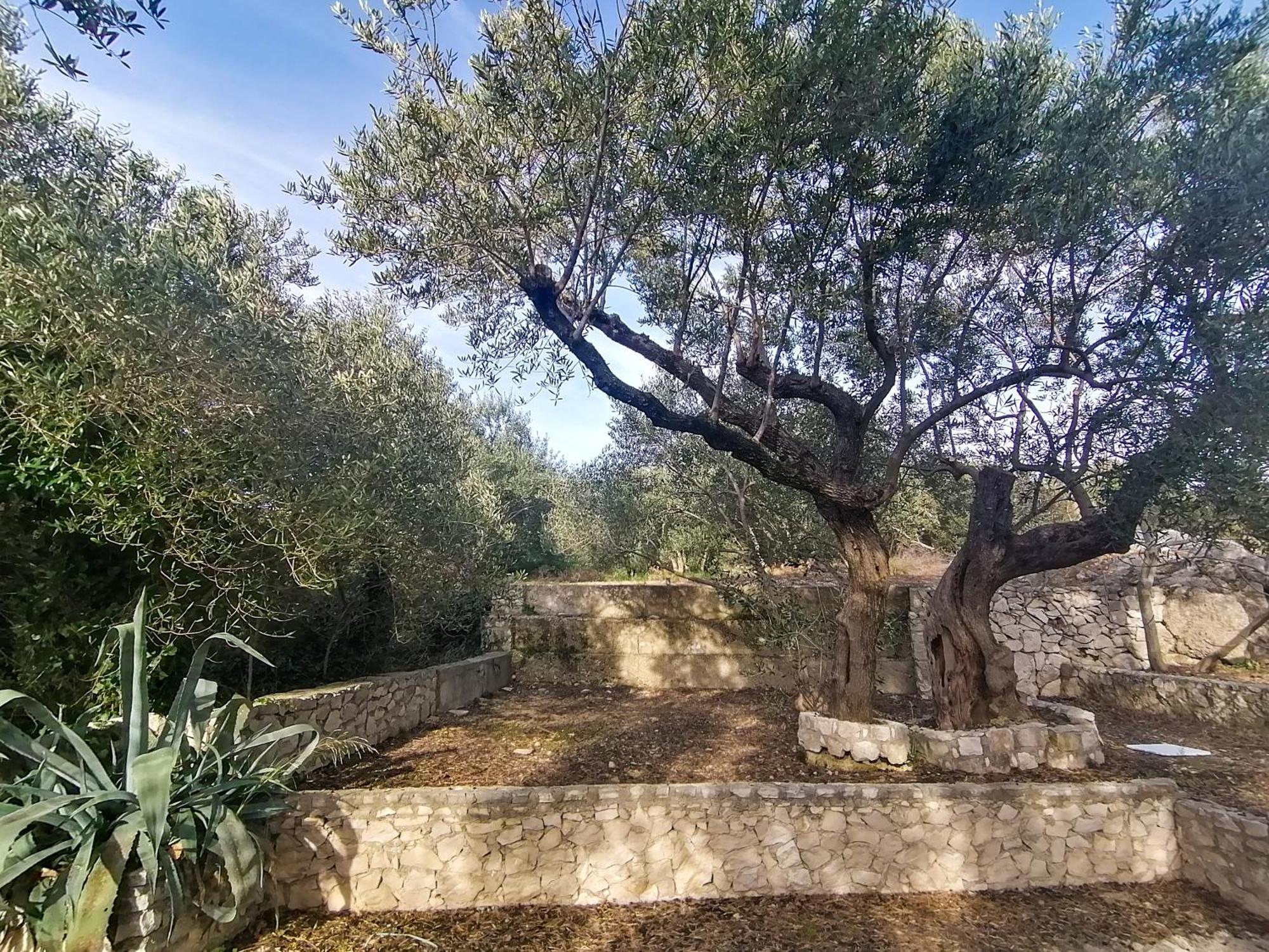 Vila Dolani Klek Exterior photo