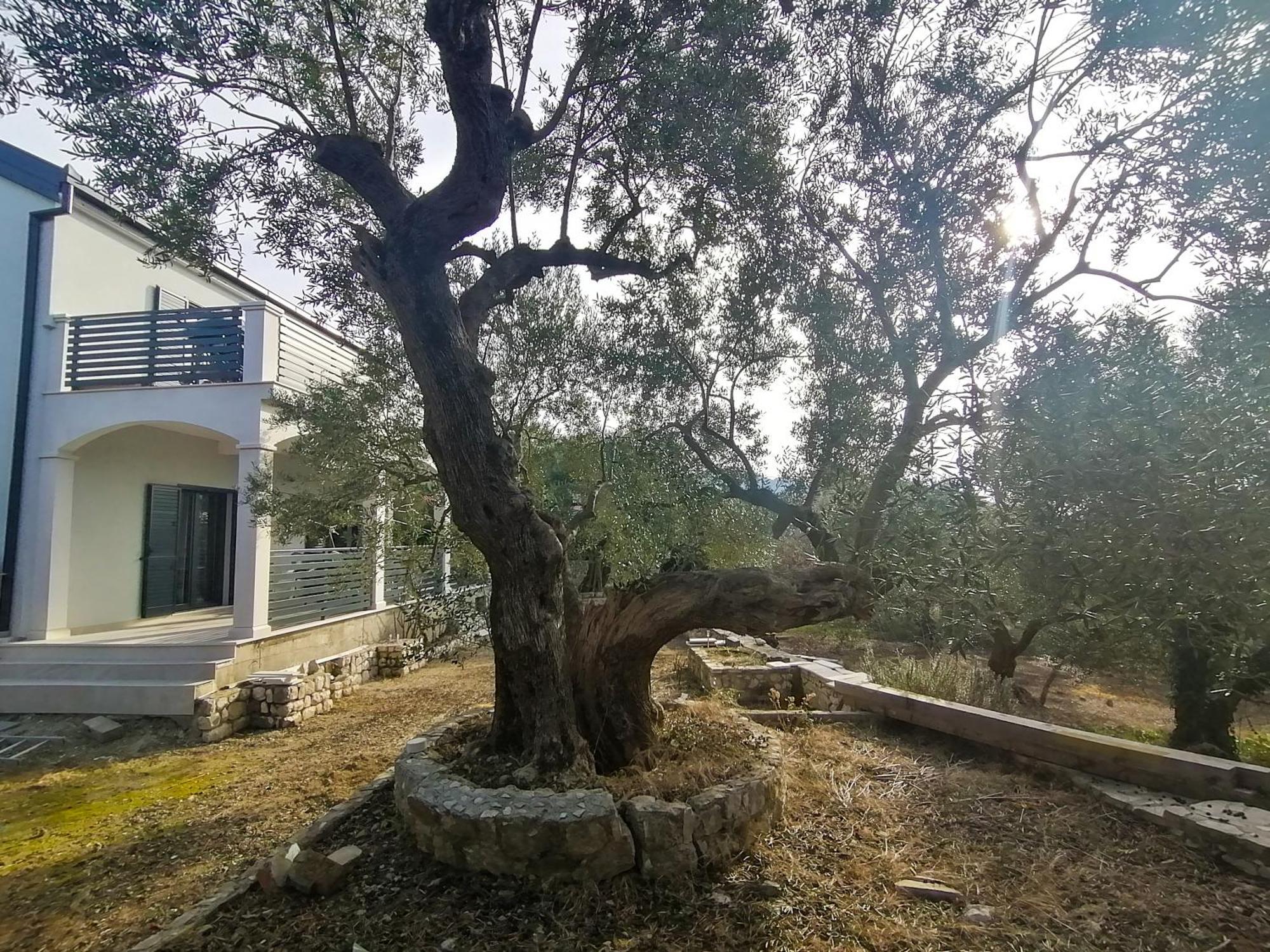 Vila Dolani Klek Exterior photo